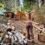 OFF GRID WILDERNESS LIVING – ALONE // Build a Raised Bed Garden | COMPOST BIN | KOMBUCHA – Ep. 84